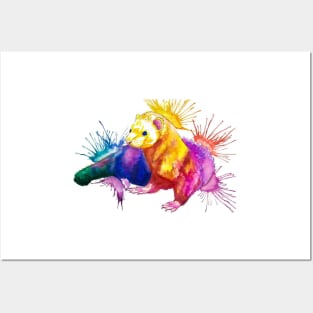 Color Splash Ferret Posters and Art